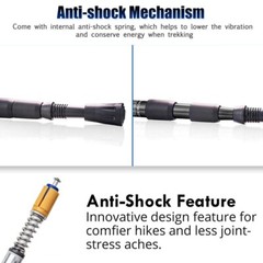 2x Trekking Poles Nordic Walking Hiking Sticks Anti-shock Adjustable Alpenstock