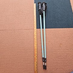 LL Bean Winter Walker Walking Hiking Sticks Set Telescopic Pole 100-130cm Bk1a
