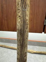 VTG Weathered Driftwood Skinny Tall Walking Stick 63.5″ Strong Staff OOAK Raw MN