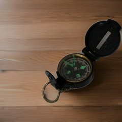 Engineer Directional Compass Black Plastic. D5