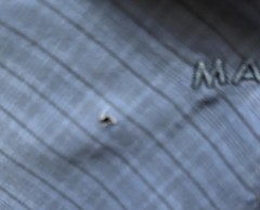 Mammot Mens Long Sleeve Hiking Shirt Blue Grid Pattern Size Medium