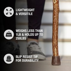 Twisted Sassafras Walking Stick Handcrafted Wooden Hiking Staff USA Made 48 Inch