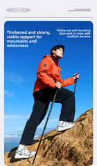 Trekking Pole