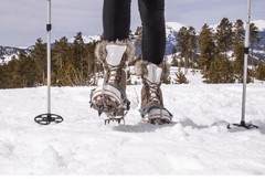 S Trekking Pole Accessory Large Snow Baskets Includes 2 Baskets
