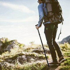US Folding Handle Cane Adjustable Aluminum Stick Hiking Walking Trekking Travel