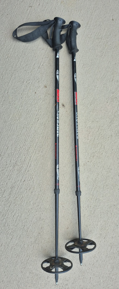 REI 7075 Aluminum Snow Shoe Poles 2 Section Telescopic Trekking Hiking Gear