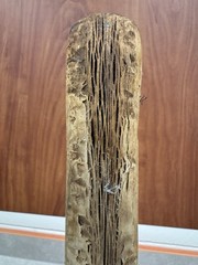 VTG Weathered Driftwood Skinny Tall Walking Stick 63.5″ Strong Staff OOAK Raw MN