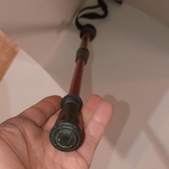 Red Adjustable Aluminum Trekking Pole, Animal Tracks, Twist Lock, Foam Grip