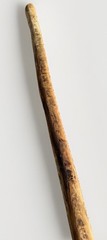 VTG Weathered Driftwood Skinny Tall Walking Stick 63.5″ Strong Staff OOAK Raw MN