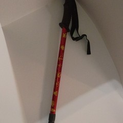 Red Adjustable Aluminum Trekking Pole, Animal Tracks, Twist Lock, Foam Grip