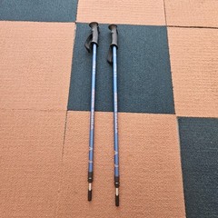 LL Bean Winter Walker Walking Hiking Sticks Set Telescopic Pole 110-145cm Bk1a