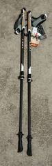 LEKI Instructor Lite Black/Gray/Yellow Nordic Walking Poles