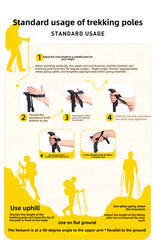 Trekking Pole