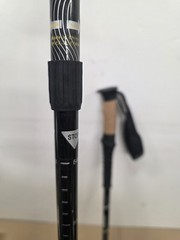 Cascade Mountain Tech Street Walking Sticks