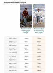 LEKI Nordic Walking Instructor Fully Adjustable Walking Pole 135cm Light Blue