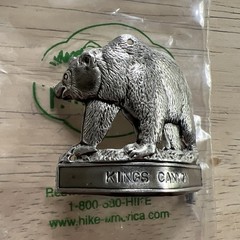 Kings Canyon Hiking Stick Medallion
