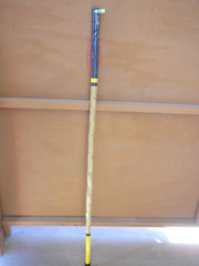 HIKING/WALKING STICK MADE FROM NEW MEXICO YUCCA PLANT FLOWER STALK NUMBER 34