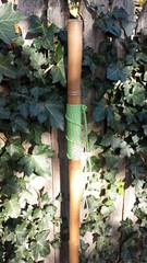 Bamboo Staff – 62″ – Walking Hiking Trekking Stick – Paracord Grip & Strap – #20