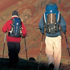 1/2/4X Cane Walking Stick Adjustable Folding Aluminum Collapsible Travel Hiking