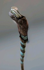 ​Custom Hand Carved Oak Cane Walking Stick Teal Spiral Petrified Wood Inlay 45″