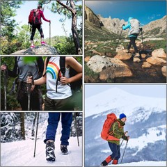 2X Trekking Poles Nordic Walking Sticks Adjustable Anti-shock Hiking Alpenstock