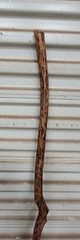 MANY NEW WALKING STICKS HIKING CAMPING STICKS CEDAR PINE EACH ONE CUSTOM MADE