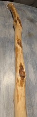 50″ – Hand Carved Diamond Willow – Finished with apoxy – Hiking /Walking Stick