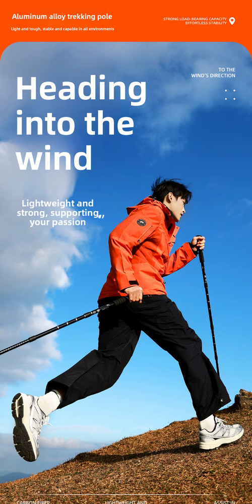Trekking Pole