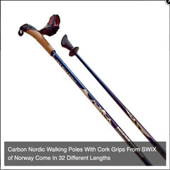 EXEL Nordic SkiWalking Poles – 110cm long for height = 5′ 4″ – Cork handles