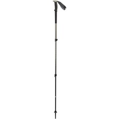 Black Diamond Trail Trekking Poles
