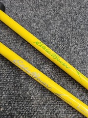 Set of 2 – Eddie Bauer Trekking Poles Sticks