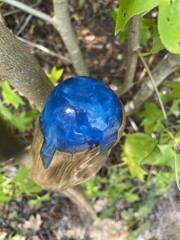 Walking Stick Fractal Lichtenberg With Epoxy Burl Top Handmade & Finished