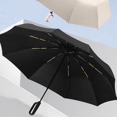 Rainy Days Sunny Days Auto Open Umbrella Automatic Umbrella 10-Rib Construction