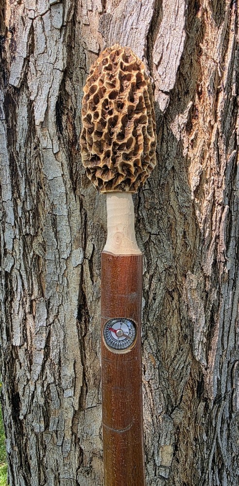 Morel Mushroom Hickory Hand Carved Hiking Stick with Compass