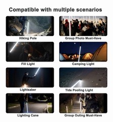 Walking Stick with LED Light for Night Climb, Recharged Glowing Travel Trekki…
