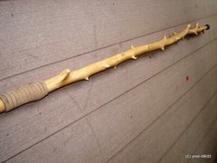 handcrafted WALKING/HIKING STICK spiky apple w/leather Deer Antler Burr Handle