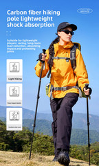Trekking Pole