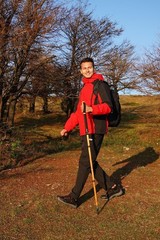 Sassafras Wood Adjustable Detachable Trekking Pole – 1pc Pack