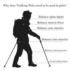 Trekking Stick Walking Hiking Poles Adjustable Folding Anti-Shock Sticks
