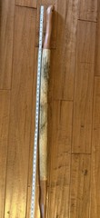 Rain stick, Hiking stick, Walking, Rainmaker, Unique, Vintage 48in, Cane