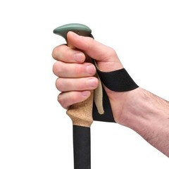 Black Diamond Trail Cork Trekking Poles – Fig CM49 ship from USA