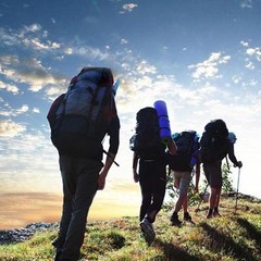 1pcs Trekking Pole Rubber Tips Feet End Cap Protector Hiking Pole Tip Protector