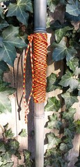 Bamboo Staff – 64″ – Walking Hiking Trekking Stick – Paracord Grip & Strap – #17