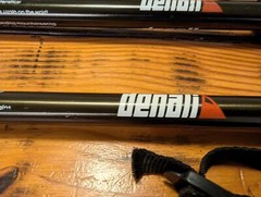 Denali Air shock Trekking Poles