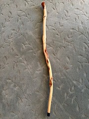 43 in. – Hand Carved Diamond Willow – Finished – Hiking / Walking Stick ,j101