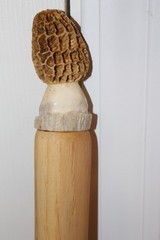 Custom Made Pecan Wood Walking Hiking Stick with Carved Antler Morel Topper