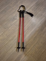 Sport Line Total Fitness Performance Walking Poles XC550 Extendable 110-135cm
