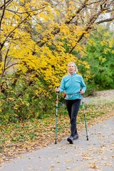 New Urban Poling Activator Moda Fitness Exercise Assisted 2-Piece Walking Poles