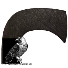 Solid English Holly Cardigan or Llandovery Stick Handle Blank