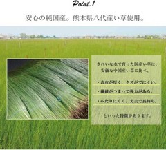 Japan High quality [Goza] Comfortable and Cool 88x170cm from Japan 4224